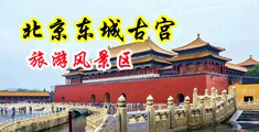 操BB的网站中国北京-东城古宫旅游风景区